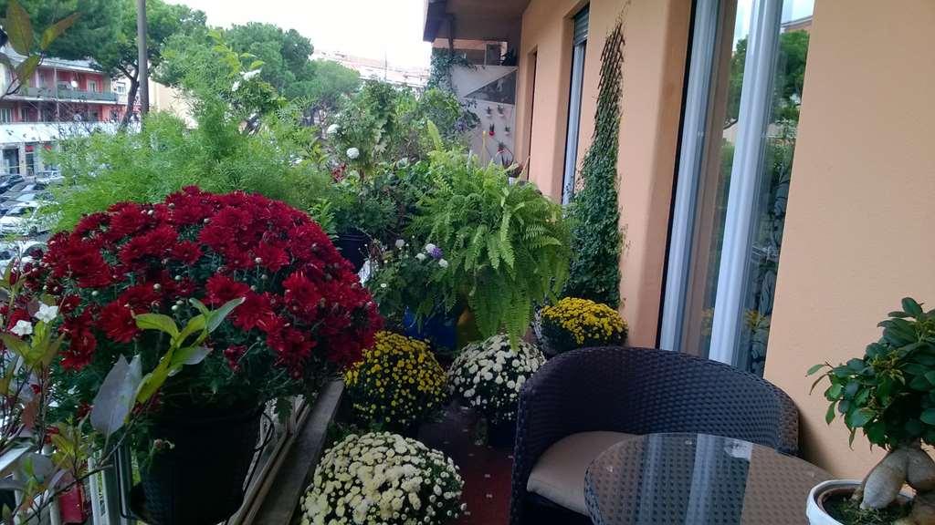 Gregorio VII Luxury Suites Rom Faciliteter billede